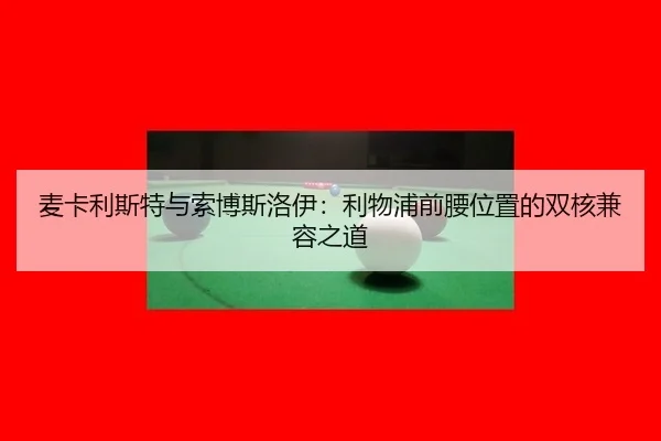 mai-ka-li-si-te-yu-suo-bo-si-luo-yi-li-wu-pu-qian-yao-wei-zhi-de-shuang-he-jian-rong-zhi-dao-2-122.jpg