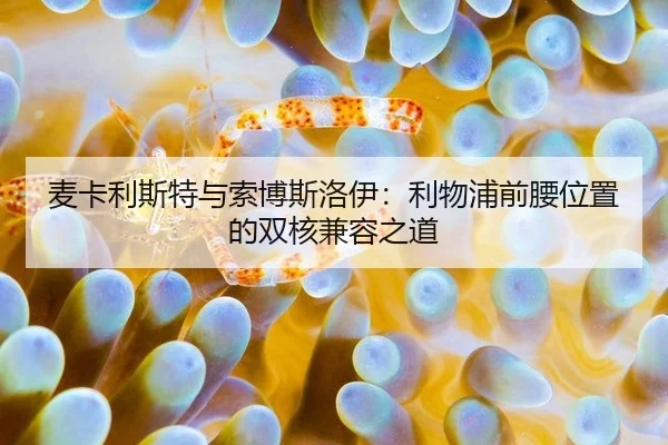 麦卡利斯特与索博斯洛伊：利物浦前腰位置的双核兼容之道