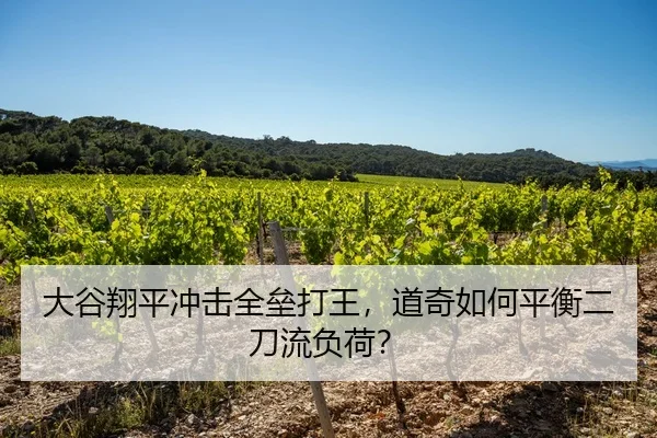 大谷翔平冲击全垒打王，道奇如何平衡二刀流负荷？