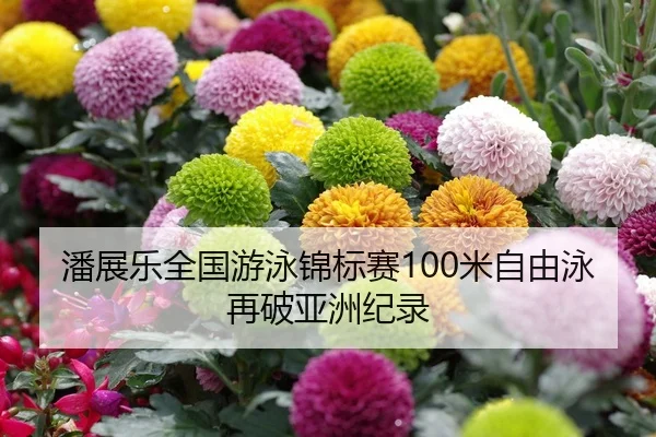 潘展乐全国游泳锦标赛100米自由泳再破亚洲纪录