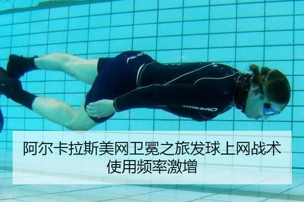 a-er-ka-la-si-mei-wang-wei-mian-zhi-lv-fa-qiu-shang-wang-zhan-shu-shi-yong-pin-lv-ji-zeng-3-181.jpg