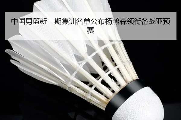 中国男篮新一期集训名单公布杨瀚森领衔备战亚预赛