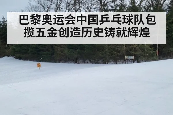 巴黎奥运会中国乒乓球队包揽五金创造历史铸就辉煌