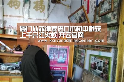 厦门从菲律宾进口木材中截获上千只红火蚁|开云官网(图1) 开云官网