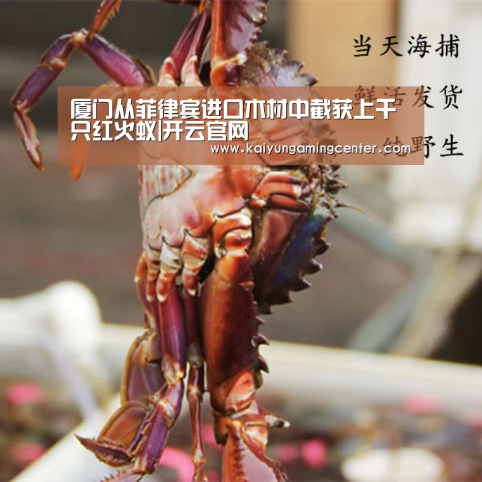 厦门从菲律宾进口木材中截获上千只红火蚁|开云官网(图4) 开云电竞