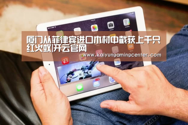 厦门从菲律宾进口木材中截获上千只红火蚁|开云官网(图3) 开云电竞